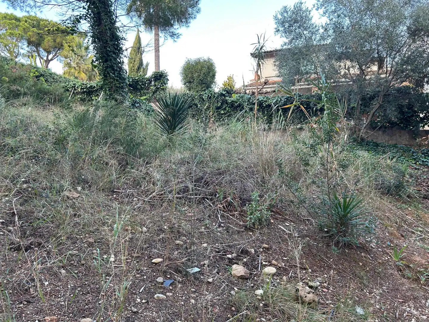 Rustikales Grundstück zum Verkauf in CAN FELIU, imagen 24