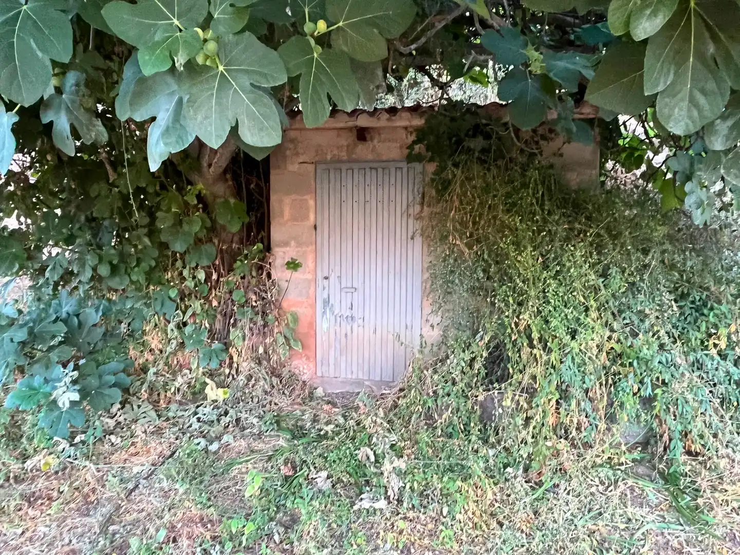 Terreno rústico en venta en Diseminado Nalda, imagen 24