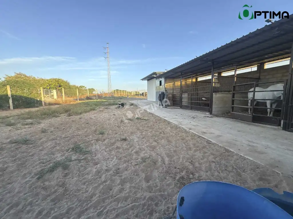 Casa in vendita a Bollullos Par del Condado, imagen 5