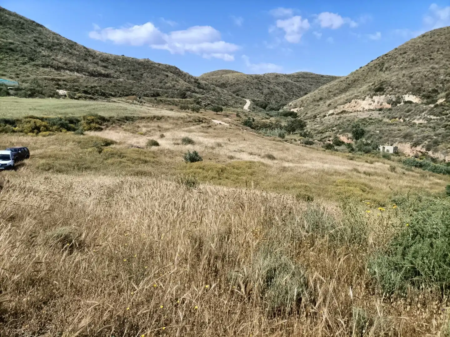 Land for sale in Lorca