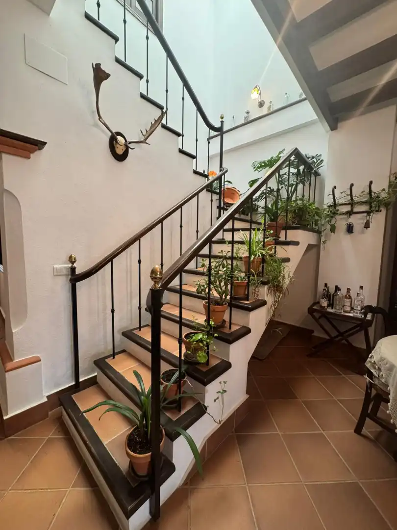 Casa o xalet de lloguer en Almonte amb Terrassa, Moblat i Forn