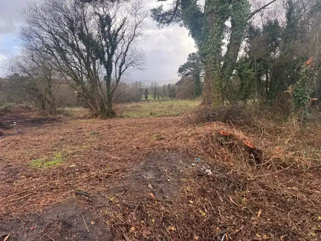 Terreno residencial en venta en Castropol, imagen 9