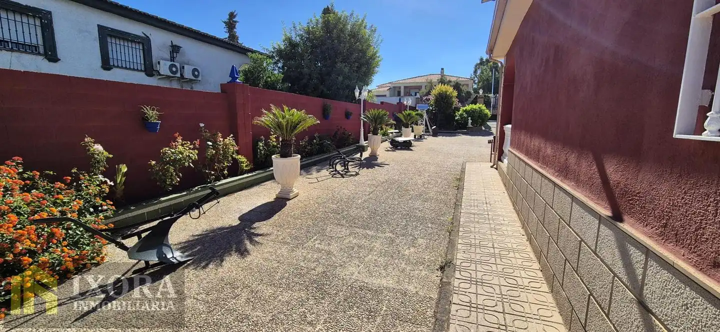 House with pool for sale in Diseminado Huertos San Roque, imagen 21