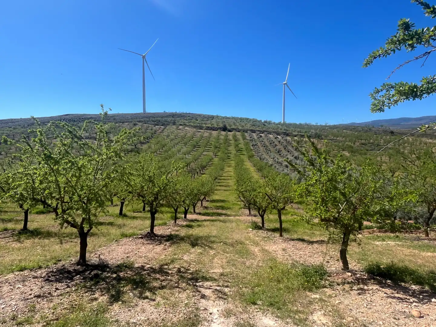 Rustikales Grundstück zum Verkauf in Camino de la Sierra
