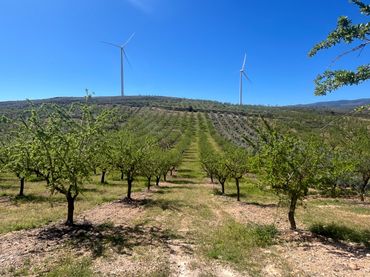 Terreno rustico in vendita a Camino de la Sierra