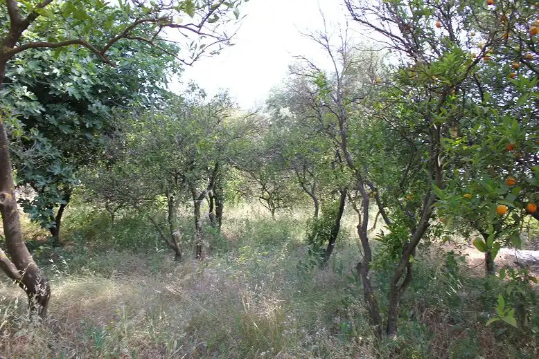 Terreni e lotti in vendita a Andalucía, imagen 4