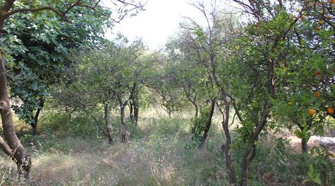 Terreno en venta en Restábal., imatge 4