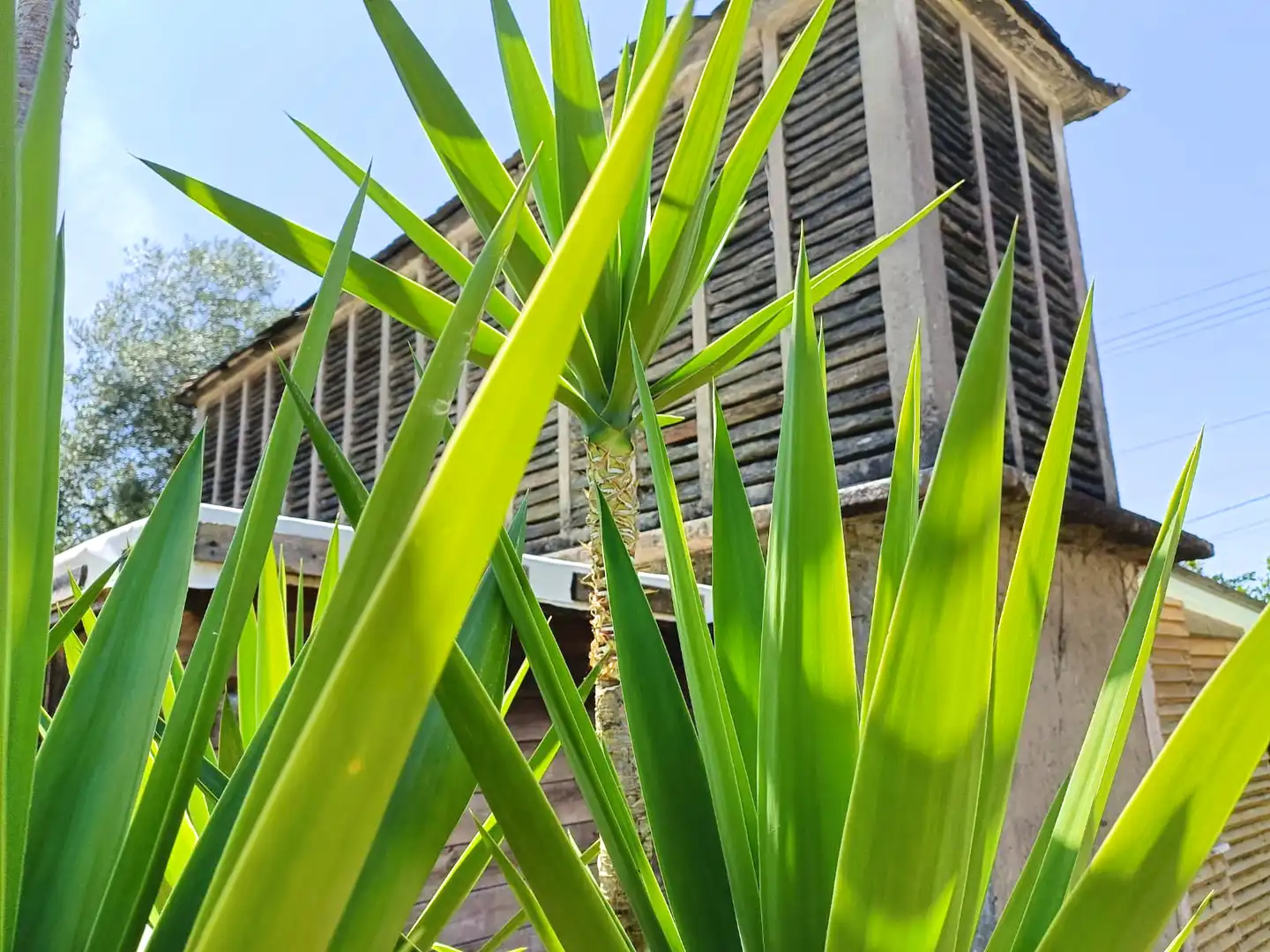 Casa amb jardí en venda a Estrada Xeral de Sedes, imagen 12