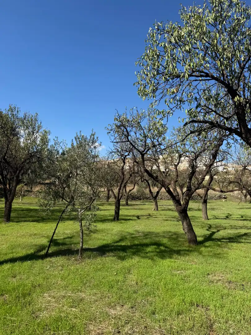 Casa rústica amb terrassa en venda a Abla, imagen 21