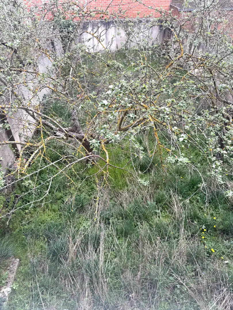 Piso en venta en Aguilar de Campoo con Jardín privado, Parquet y Trastero