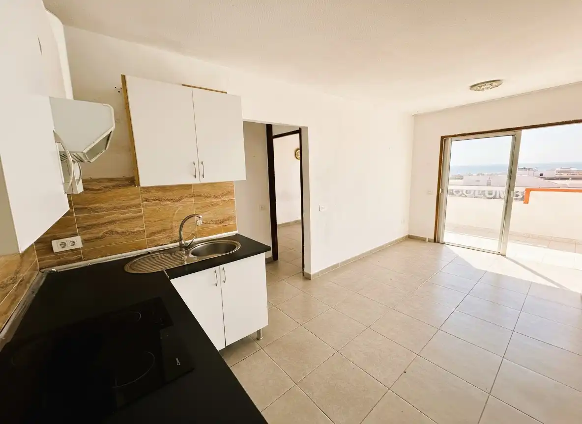 Apartament amb terrassa en venda a Avenida Avenida Santiago Puig 7, imagen 4