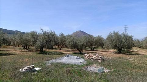 Foto 3 de Finca rústica en venta en Polígono la Zanja, Albolote, Granada