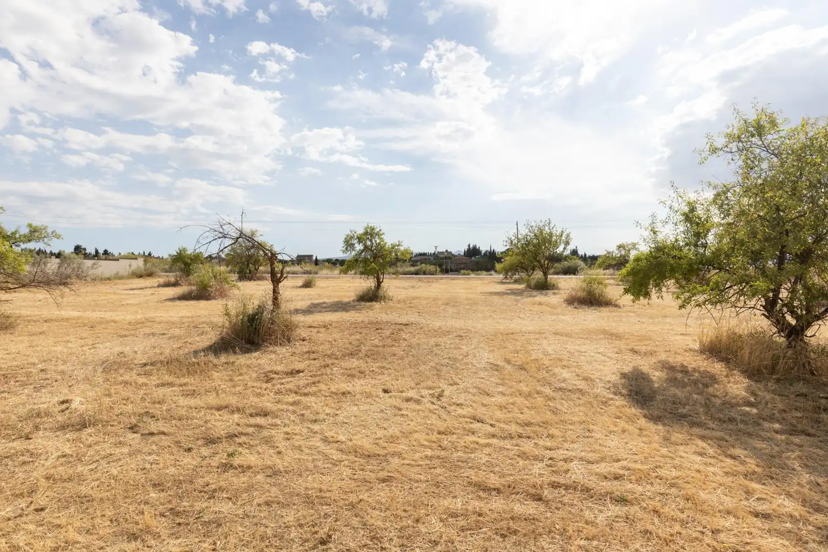Rural land for sale in Polígono 10 Parcela 308 RIEGOS DE MORALEDA. MORAL, imagen 17