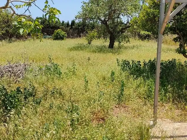 Rustikales Grundstück zum Verkauf in Carrer Pereres 6