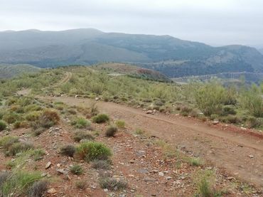 Terreno residenziale in vendita a Cortijo La Cara 22-25+116