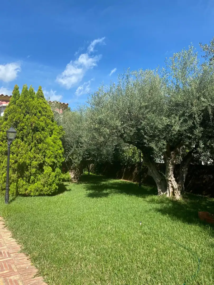 Detached house with pool for sale in La Renegà - Torre Bellver - Les Platgetes, imagen 2