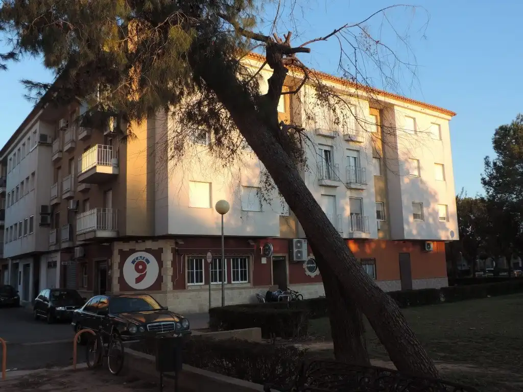 Pis amb ascensor en venda a Calle Amparo Santamans 13
