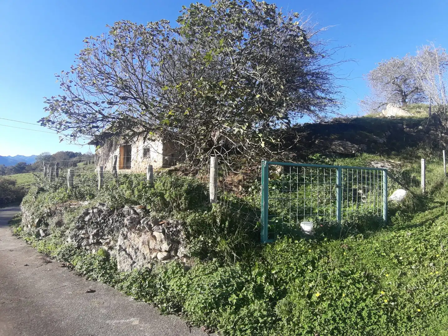 Casa adosada en venta en Cabranes