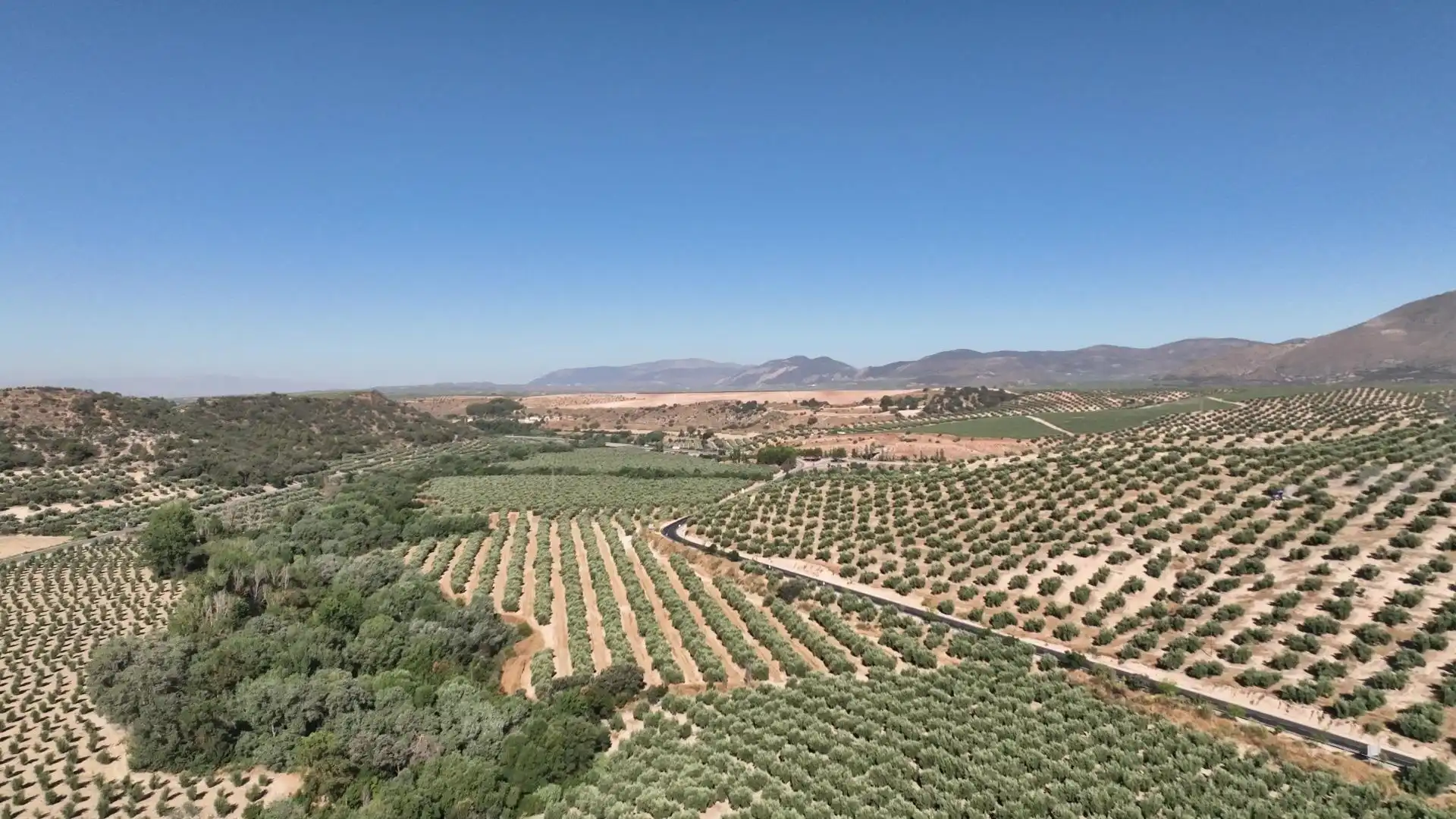 Terreni e lotti in vendita a Albolote, imagen 17