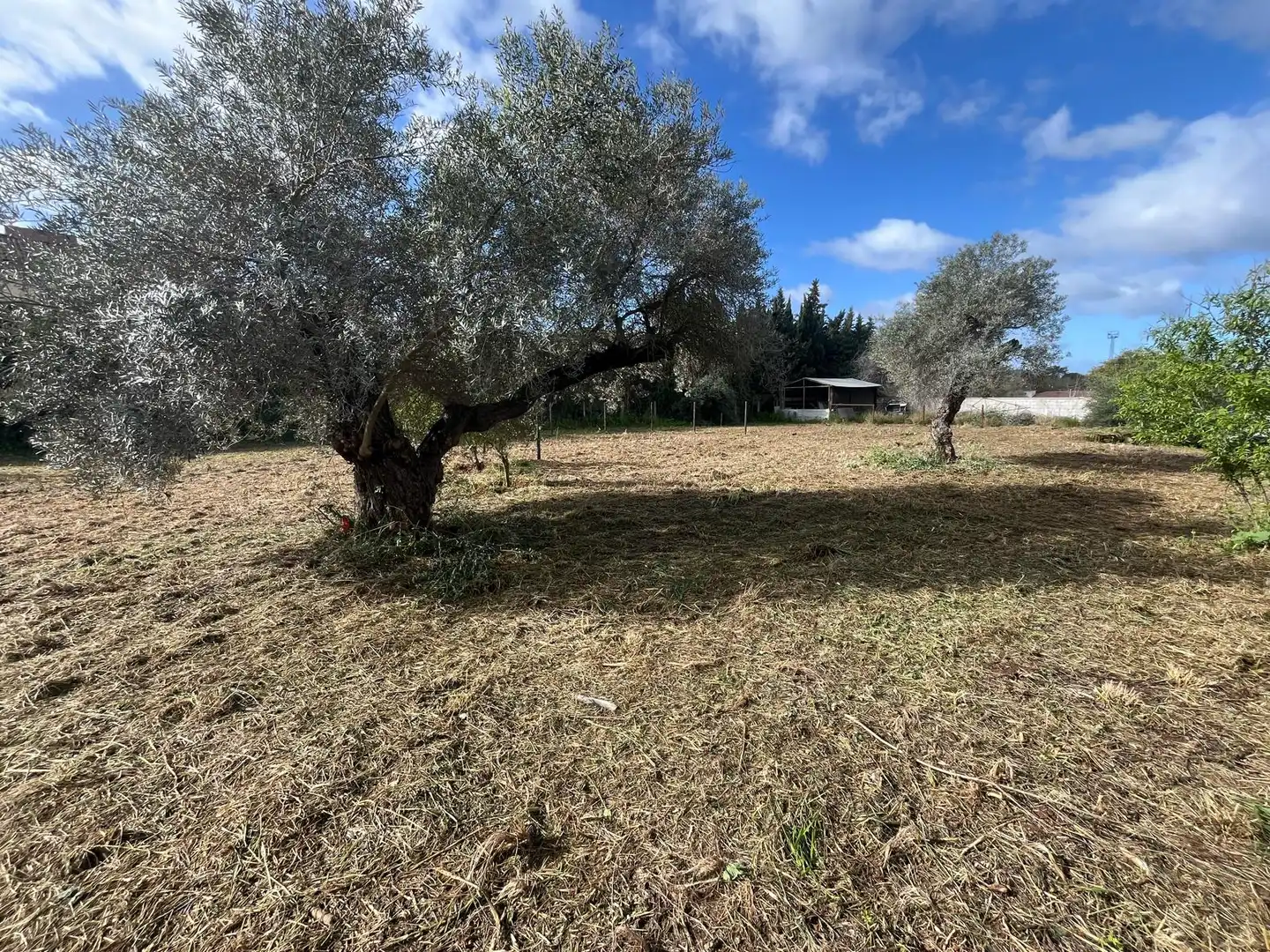 Residential for sale in Palomares del Río