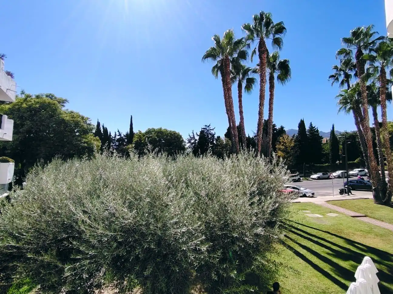 Apartments for rent in Parque de la Paloma