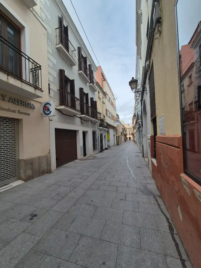 Apartament de lloguer a Calle Muñoz Torrero, Casco Antiguo