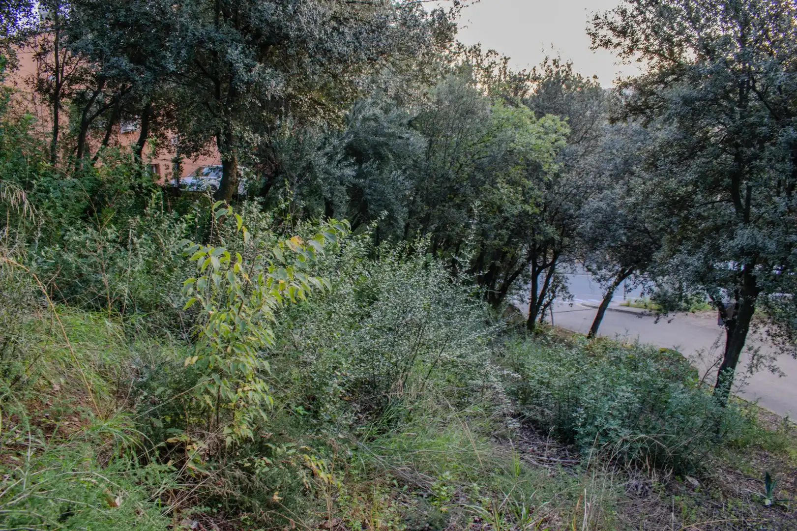 Lands and plots for sale in Bigues i Riells del Fai, imagen 12