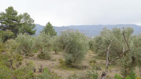 Foto 4 de Finca rústica en venta en Lledó, Teruel