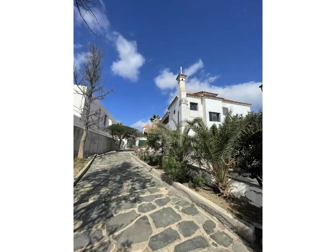 Vista exterior de Casa o chalet en venta en Las Palmas de Gran Canaria con Jardín privado, Terraza y Piscina
