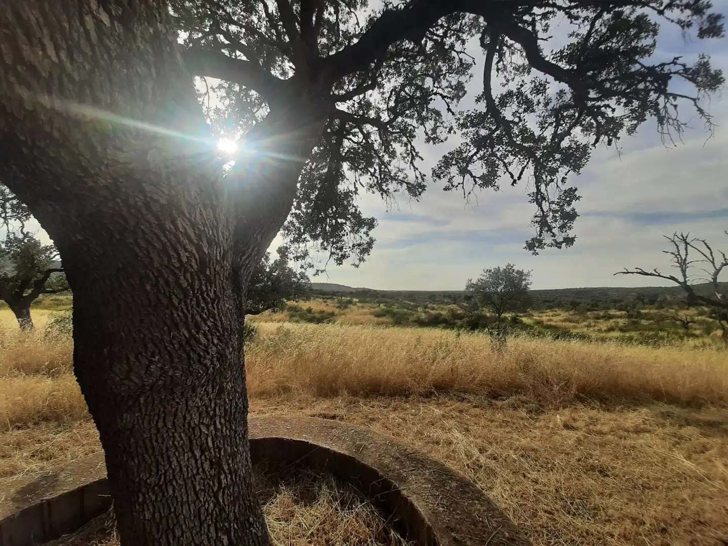 Vista exterior de Casa o xalet en venda en Cáceres amb Calefacció, Jardí privat i Terrassa