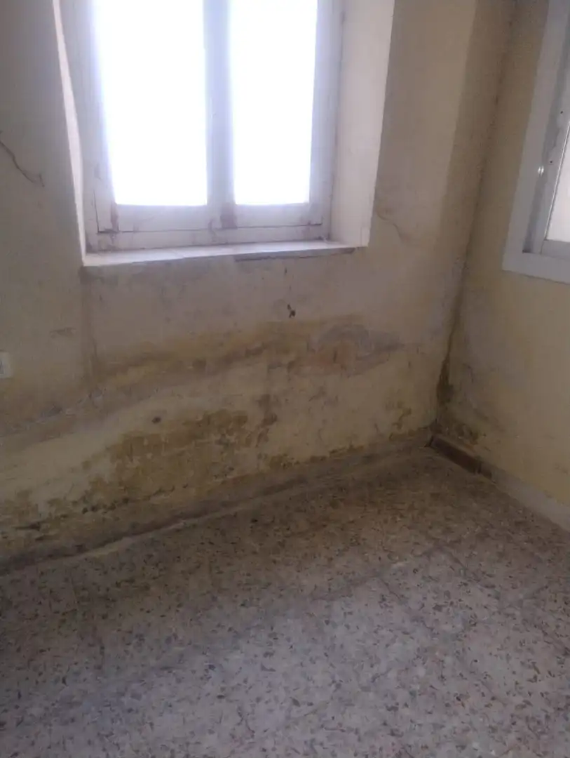 Planta baja en venta en Daimiel
