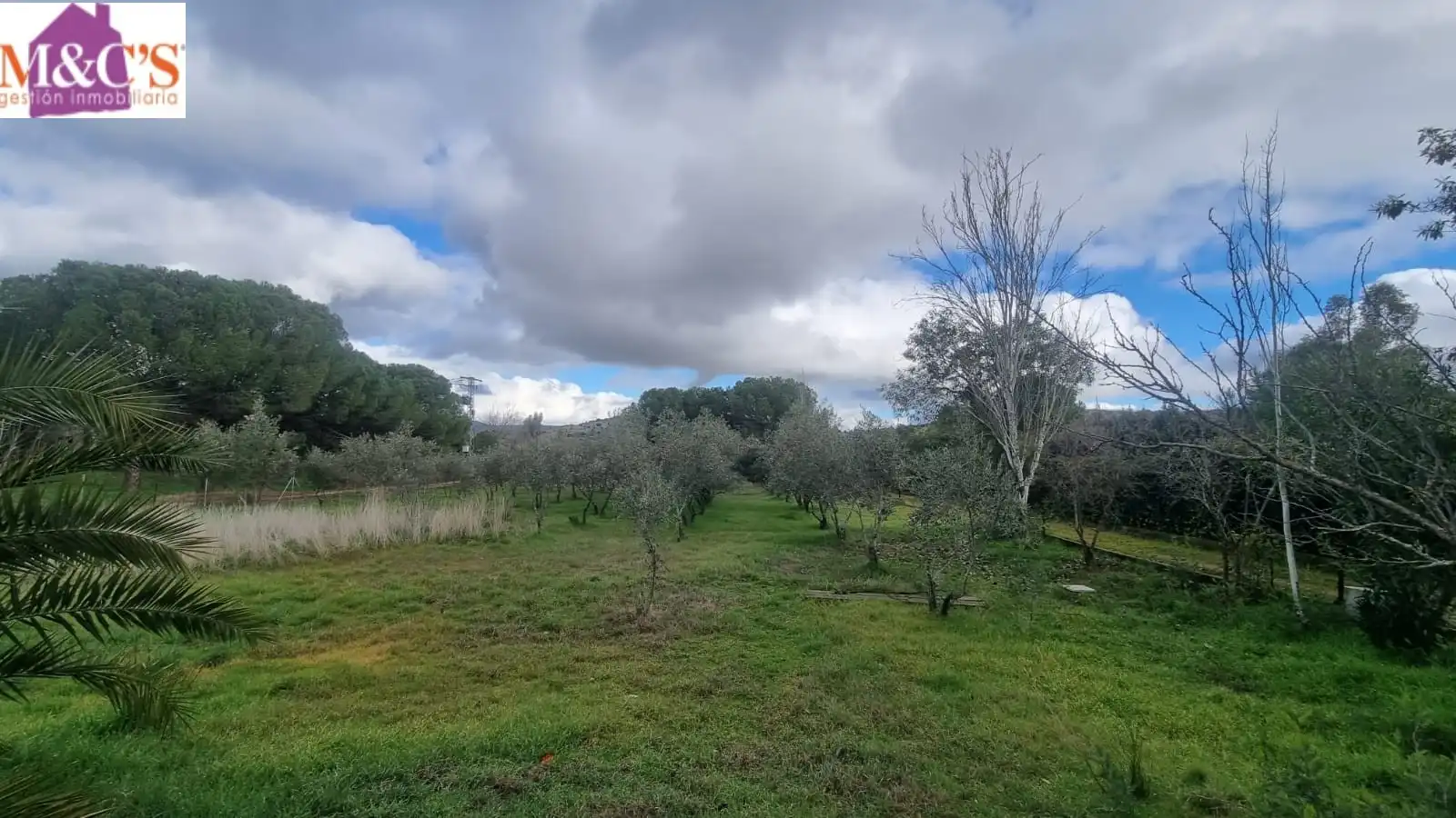 Casa o xalet en venda en Cabezarrubias del Puerto amb Aire condicionat, Calefacció i Jardí privat