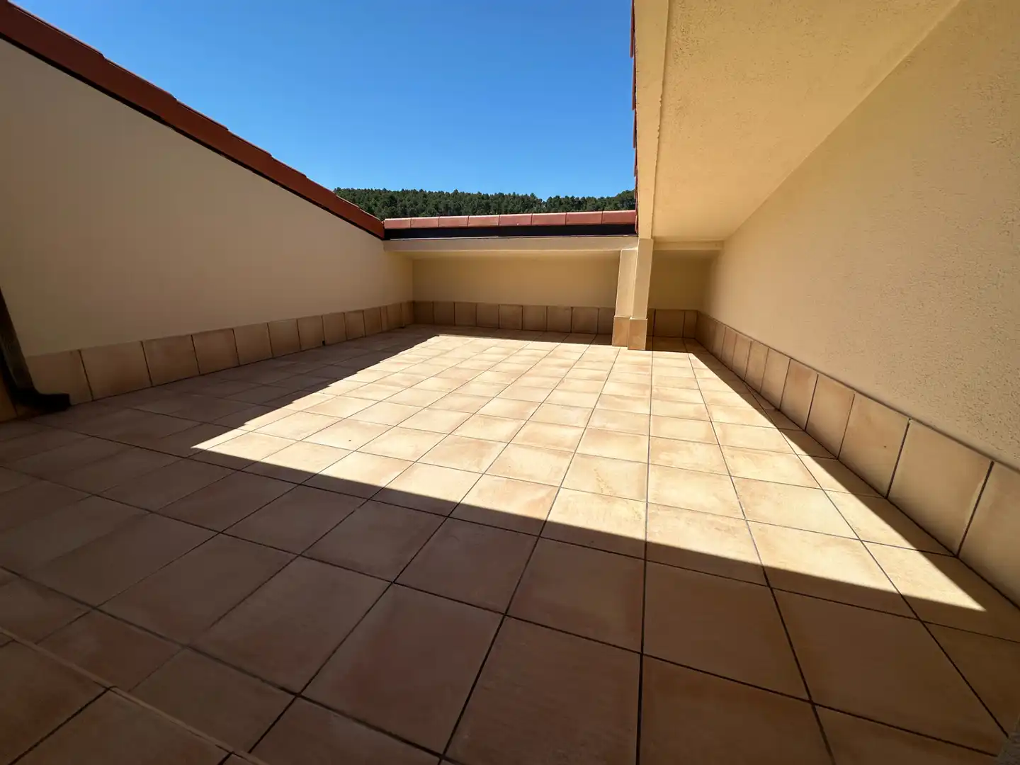 Neubau-Penthouse mit Terrasse zum Verkauf in Avinguda de Catalunya 55, imagen 15