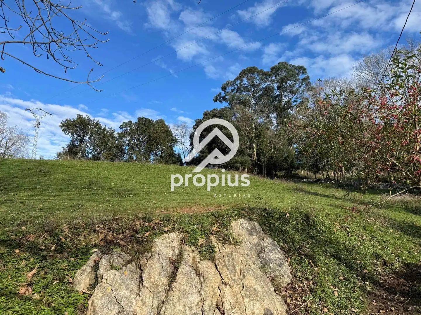 Land for sale in Llanes