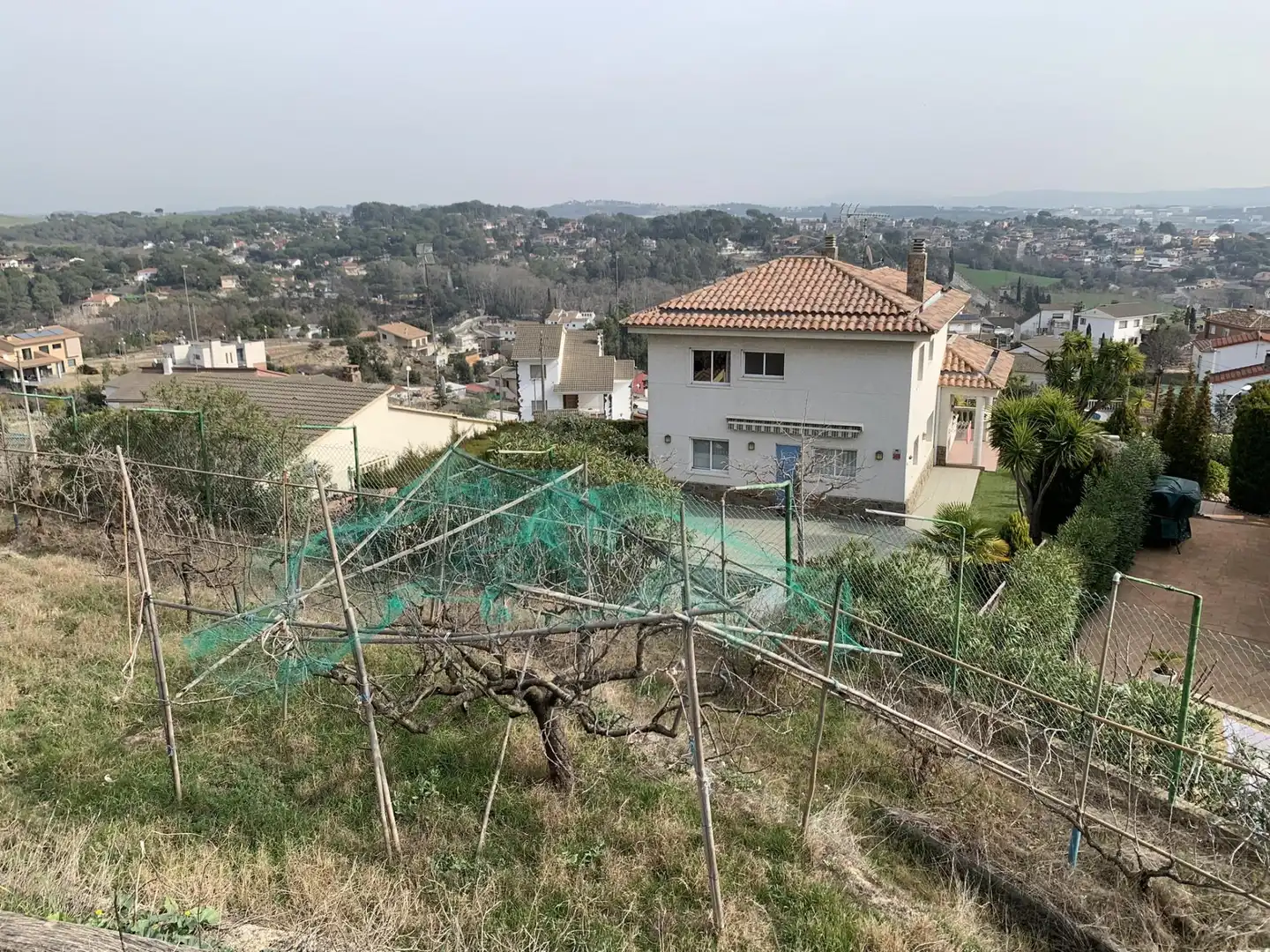 Terrenos y solares en venta en Calle SANTA LAURA, imagen 18