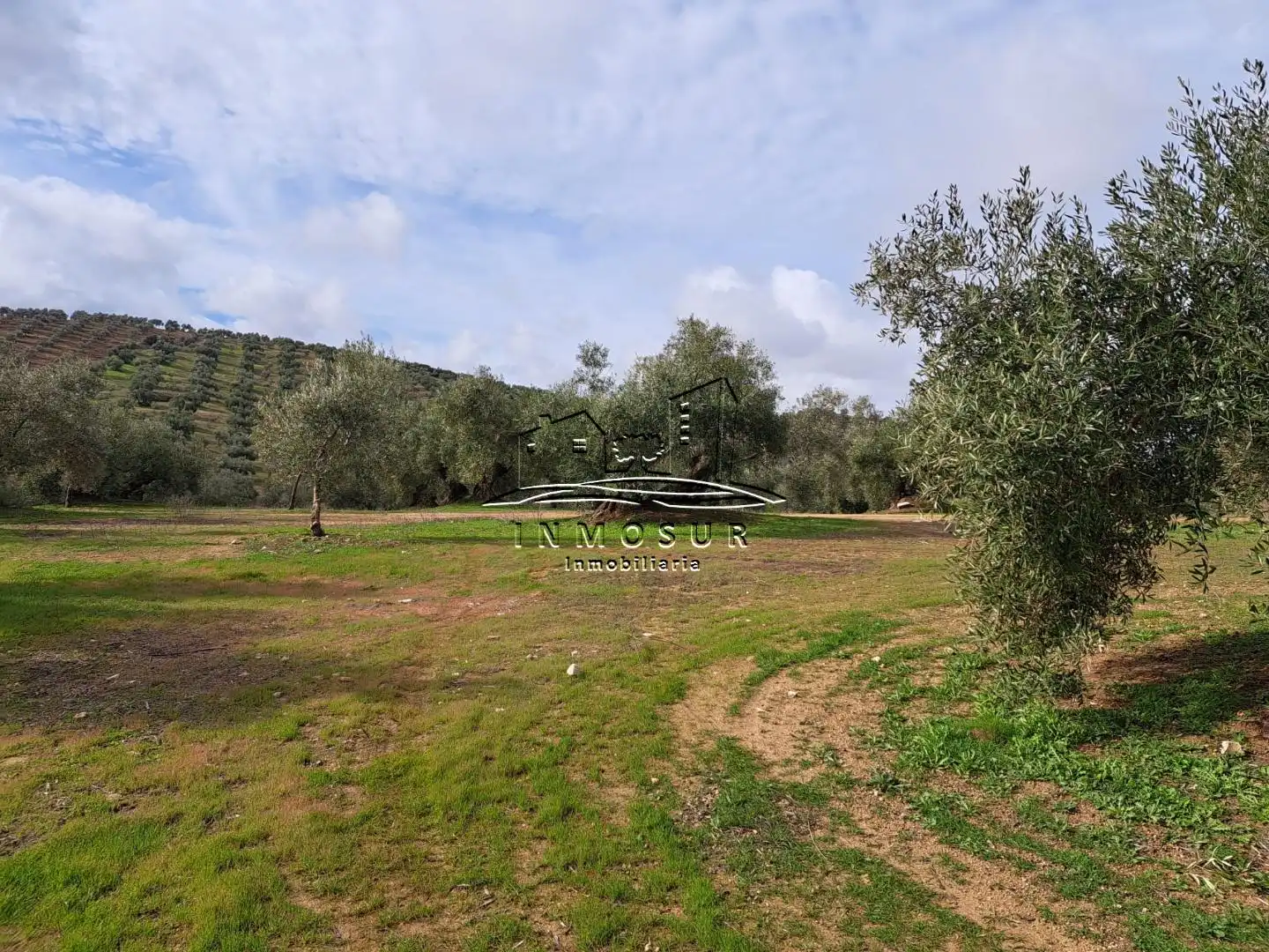 Terrenys i solars en venda a Benamejí, imagen 10