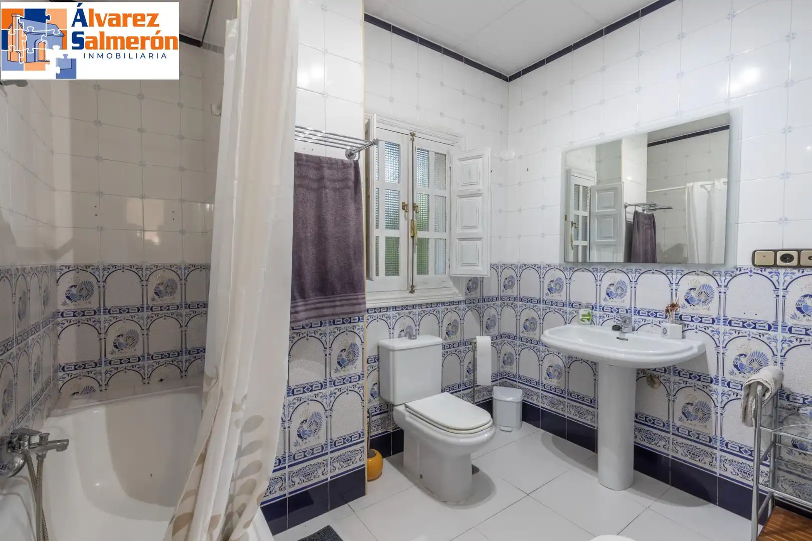 Baño de Casa o chalet en venta en Altos de la Zubia
