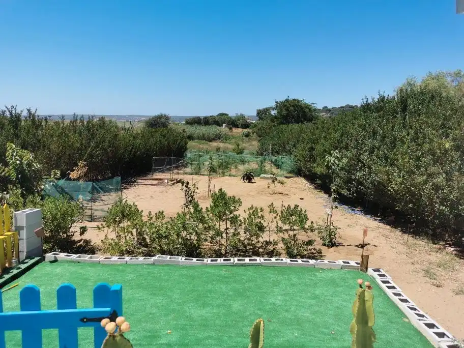 Houses for sale in Barbate  with Air Conditioner, Private garden and Terrace