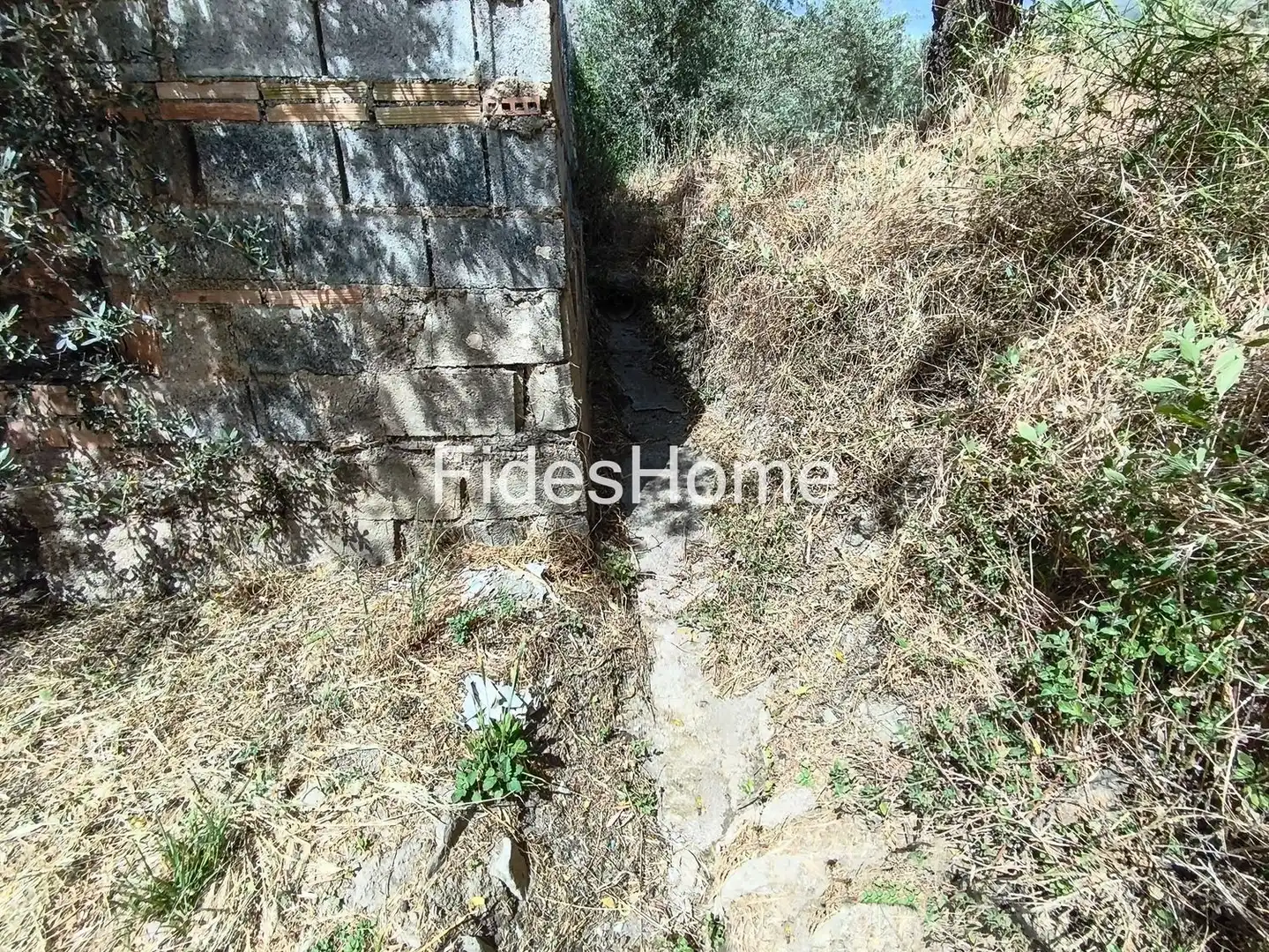 Rural land for sale in XFJ3+526 Nigüelas 0, imagen 24