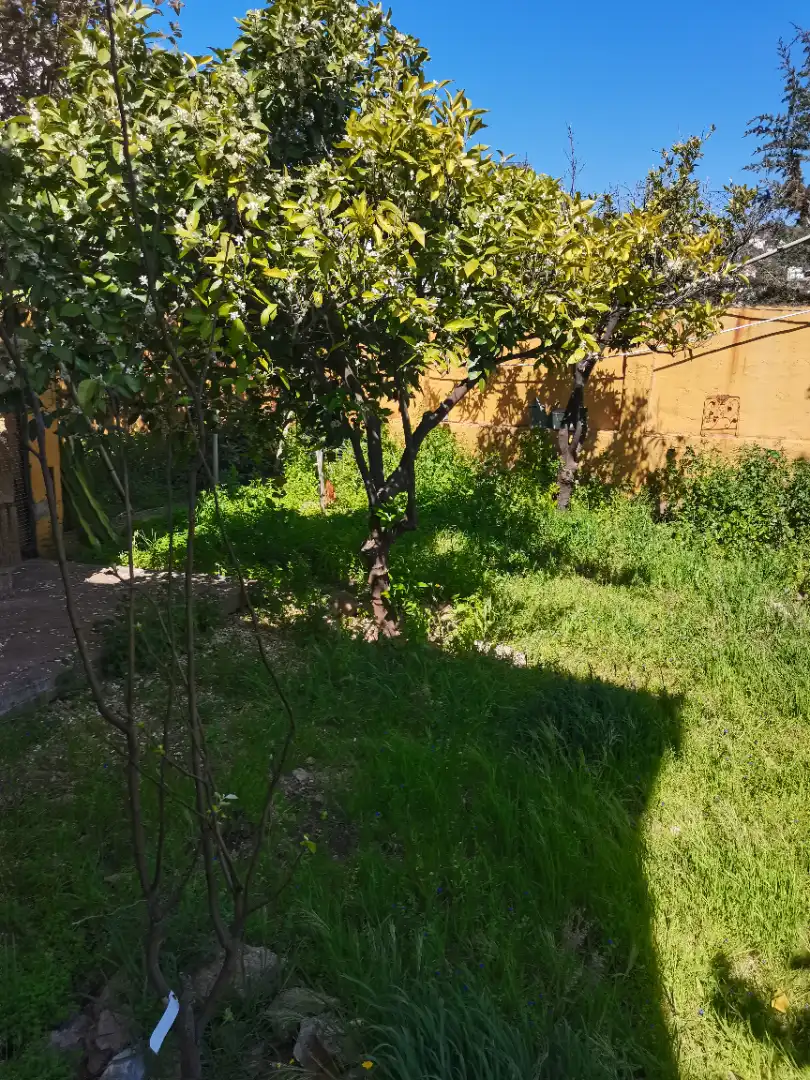 Casa o xalet en venda en Málaga amb Calefacció, Jardí privat i Parquet