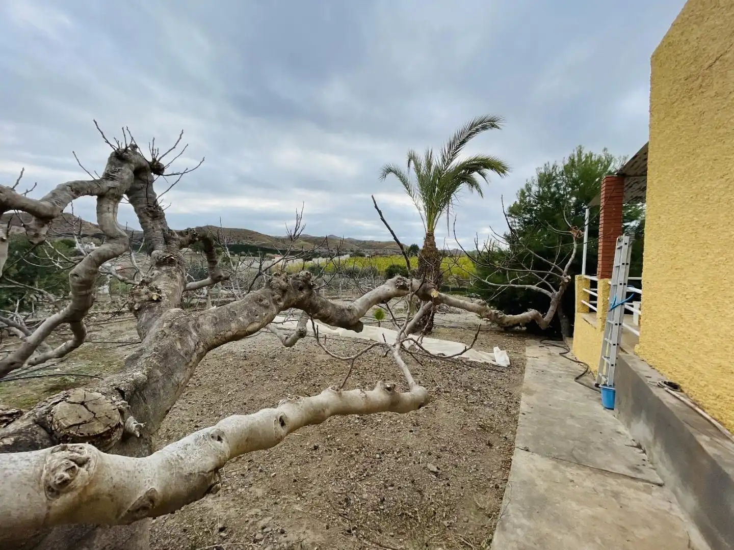 Casa o xalet en venda a Tébar - Los Arejos