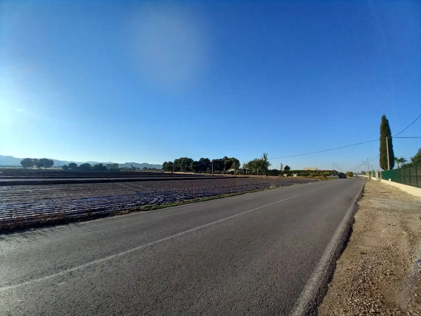Lands and plots for sale in Pedanías Sur, imagen 3