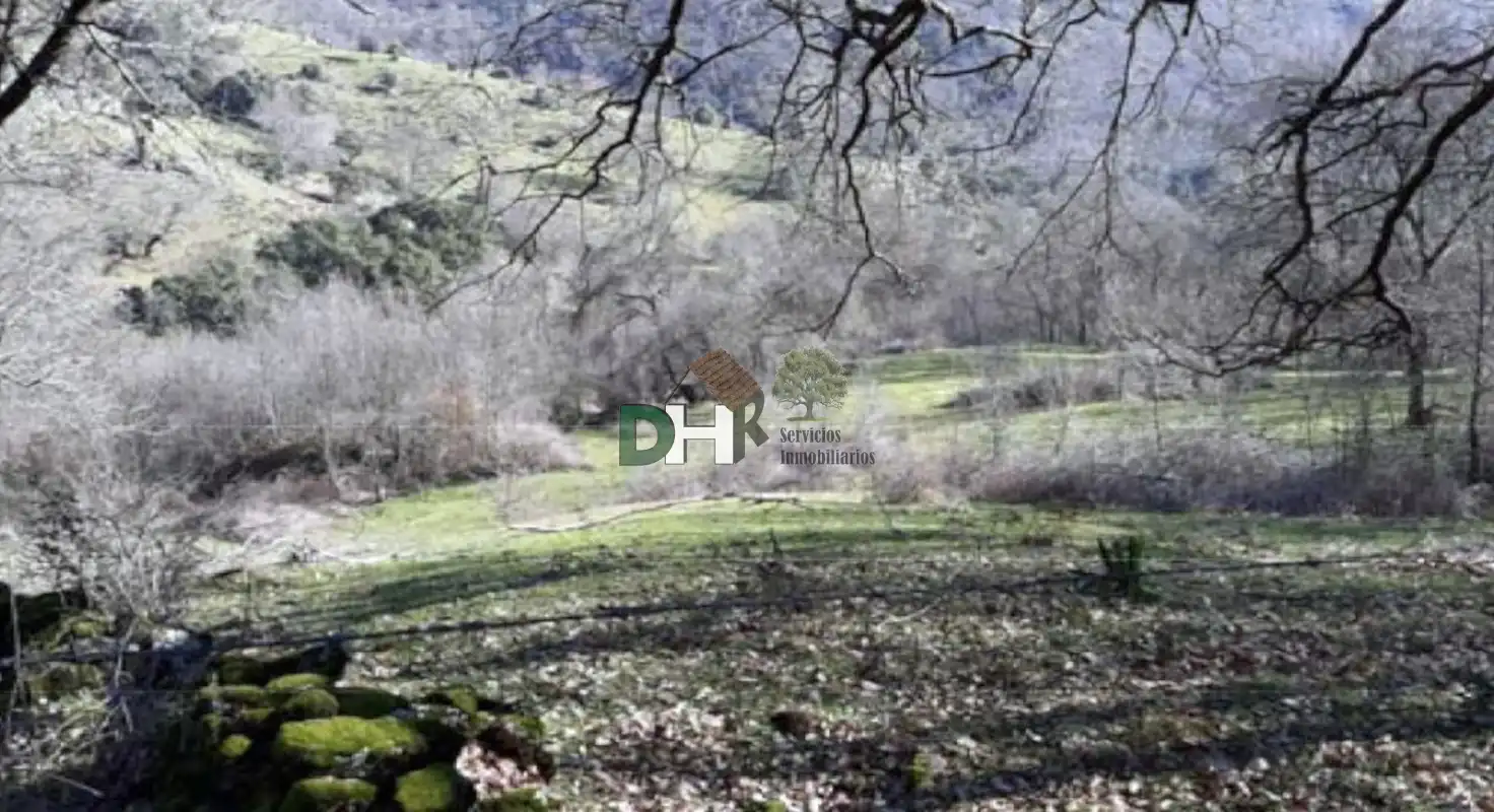 Terreni e lotti in vendita a Montesol - Mejostilla