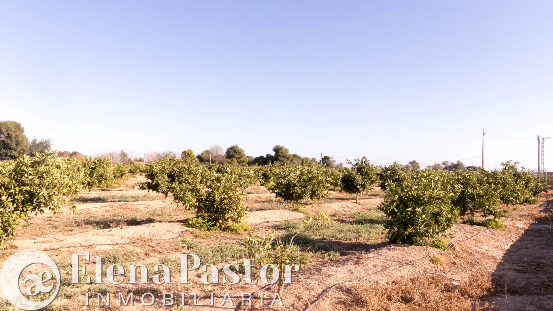Terreno en venta en Bétera