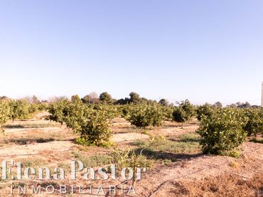 Terrain rustique à vendre à Urbanizacion Pla de Andanes