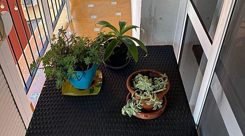 Foto 4 von Wohnung zum Verkauf in Centro, Montequinto