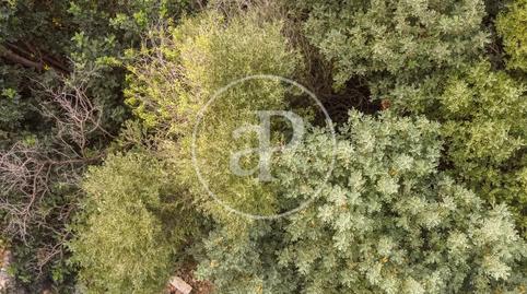 Foto 5 de Residencial en venda a Carrer D'orient, 36, Bunyola, Illes Balears