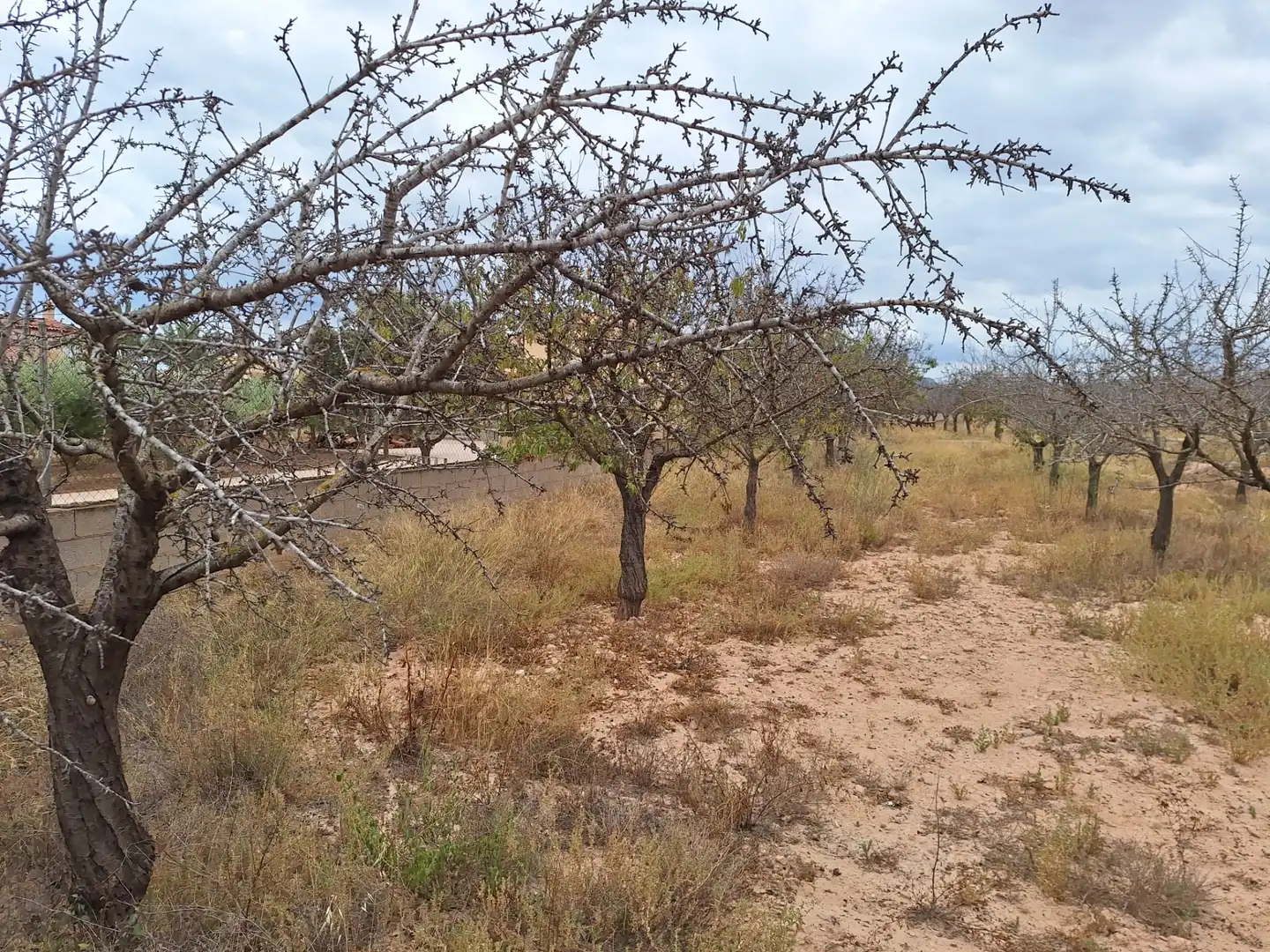 Rural land for sale in Villamontes - Boqueres, imagen 6