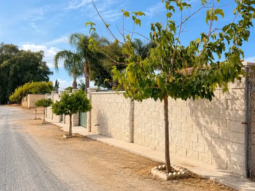 Vista exterior de Casa o chalet en venta en Arahal, Sevilla