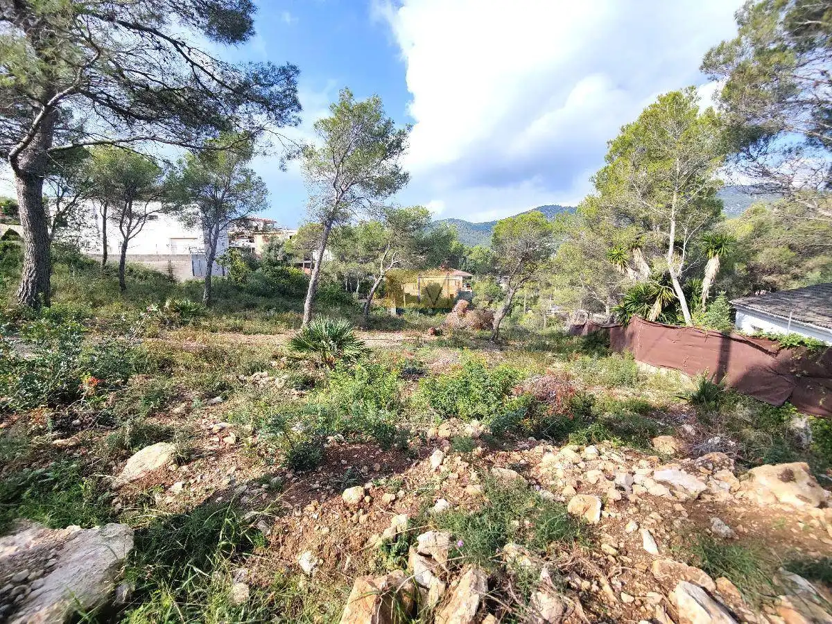Terrenos y solares en venta en Canyelles, imagen 6
